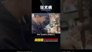 6歲男孩被狗咬，13天后狂犬病發，還差兩天打第四針！ #神秘老樹 #案件 #探案 #懸案 #懸疑