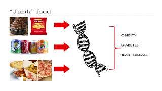 Nutrition in Pregnancy