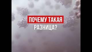 Коронавирус в России