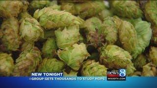 'Why not' grow hops near Beer City USA?