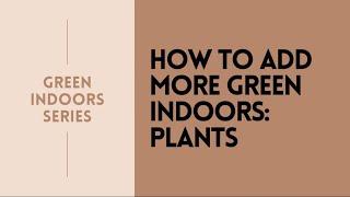 nature indoors series 2 | houseplants