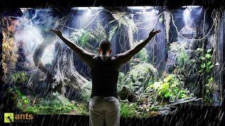 Changing the Weather In My Giant Rainforest Vivarium