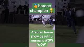 Arabian horse show very beautiful mumant WOW  #foryou #susanmedia #arabianhorse #fotyoupage #horse