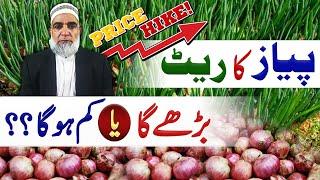 Expected Rate of Onion during coming Months || Crop Reformer