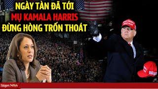 Kamala Harris ĐỪNG HÒNG TRỐN THOÁT đích thân TT Trump đi tới từng tiểu bang loan báo ngày chết chóc