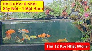 Hướng Dẫn Xây Mới Hồ Cá Koi 6 Khối, 1 Mặt Kính. Thả Nuôi 12 koi Nhật 60cm+. Hồ anh Long Tại Hà Nội