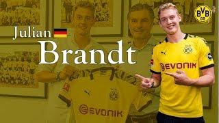 Julian Brandt  | Borussia Dortmund | Goals, Skills, Assists|