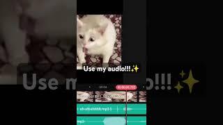 Use this!! #aesthethic#slay#Idk#audio#boom#hahahaha#Mine#myaudio#fypppppppppppppppppppppppppppp