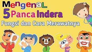 Mengenal panca indera (fungsi dan cara merawatnya)