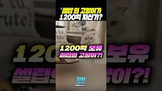 고양이의 자산이 1200억이 넘는다고??