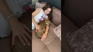 Кошка охраняет ребеночка