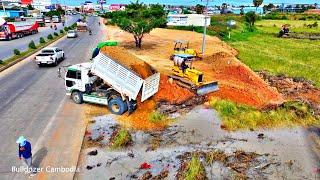 Processing Filling Up The Land huge, Bulldozer KOMATSU D31P, Amazing 5 Ton Truck