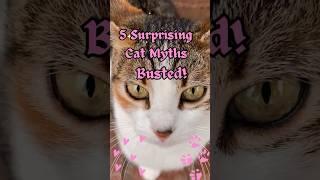 5 Surprising Cat Myths...Busted!