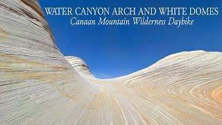 Water Canyon Arch and White Domes - Canaan Mountain Wilderness Dayhike