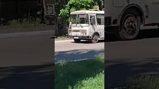 Автобус ПАЗ-4234 с маршрутом 1 м854вх 180 #автобус #пазик