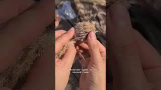 Маленькие чудеса из обычной травы