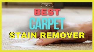  Best Stain Remover for Carpets in 2024 ️ TOP 5 ️