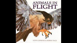 Animals in Flight by Steve Jenkins & Robin Page