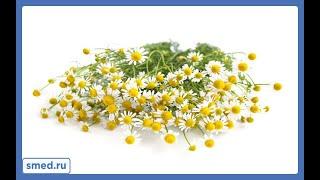Гидролат Ромашки аптечной от Queen of Oils