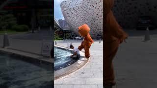 Funny Video l Funny Bear  P1464 #Shorts