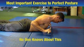 Do This weekly for PERFECT POSTURE!! - An Exercise No One Knows About
