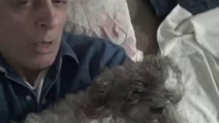 Joe in bed - + dog Frankie  1 18 17