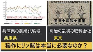 【東京と岡山の土を比べました】リン酸を入れる量は？