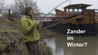 Hatte ich RECHT? ZANDER im Januar?