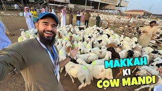 Pehli baar Makkah ki cow mandi dekhi 