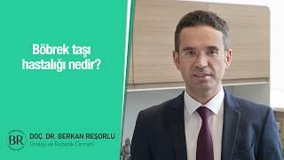 Böbrek taşı hastalığı nedir? - Prof. Dr. Berkan Reşorlu