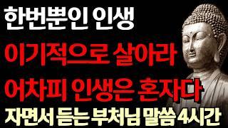 한번뿐인 인생 독하게 살아라 어차피 인생은 '혼자'다 I 노후에 고독해져야 하는 이유 I 자면서 듣는 부처님 말씀 4시간 l 지혜 I 오디오북 I 철학