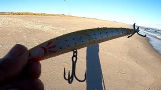 Striped Bass Surf Fishing - YELLOW Daiwa Salt Pro Minnow - SINKING SP MINNOW S15