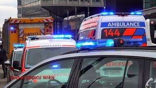 PERSON UNTER U-BAHN | Großeinsatz am Wiener Hauptbahnhof