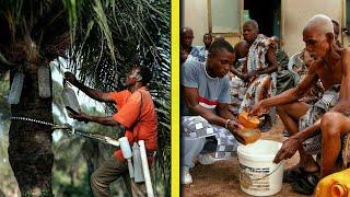 AFRICA: WHY IS THIS THE HEALTHIEST MOST NATURAL WINE?? PALM WINE  (NKWU ENU) OF THE IGBOS