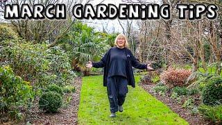 6 Gardening Tips for March