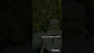 мавлави бохтари