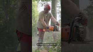 Big Alan Quickly Cuts Down a Huge Tree! #BigAlanQuicklyCutsDownaHugeTree!