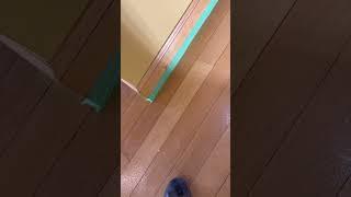 #wax #removal #removing #wax #bona #polish #mopandglo #acrylic #cleaning #deep #floors #fy #howto