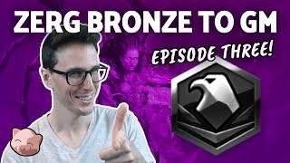 2023 Zerg Bronze to GM #3: Platinum League - Spread Creep & Scout (B2GM) | StarCraft 2