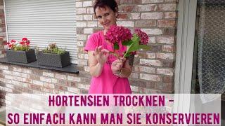 Hortensien trocknen - so einfach kann ich sie konservieren