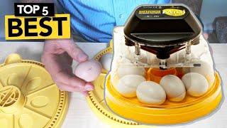  TOP 5 Best Egg Incubator you must own!