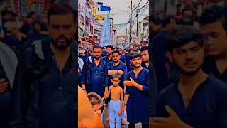 10 Muharram Juluoos Muzaffarpur#blade #matam #labbaikyahussain #yaghaziabbas #viral #abbasalamdar