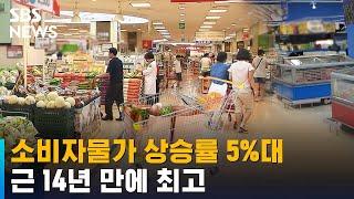 5월 소비자물가 상승률 5% 뚫었다…근 14년 만에 최고 / SBS