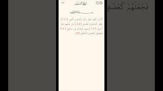 Surah Al-Fil qqiratby Mishary Rashid Alafasy #quran #quranpak #mishary