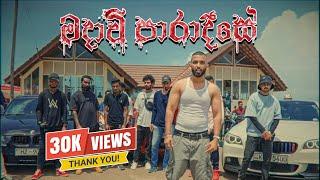 Charu ft Saas - Madaavi Paradise ( මදාවී පාරාදීසේ ) ( Official Music Video )