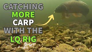 Transform Your Carp Fishing With The Pallatrax LQ Carp Rig! | Epic Carp Fishing