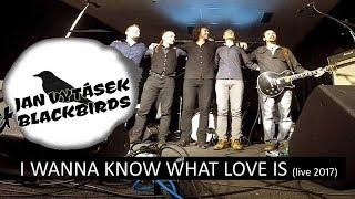 I Wanna Know What Love Is (live 2017) (Foreigner cover) - Jan Vytásek & Blackbirds