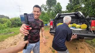 Aya Samsung Dan Masri Aing Dipanggil Empunya Kebun Namchem Terbesar Di Serakit Untuk Dibawa Balik.