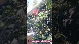 I saw you dancing