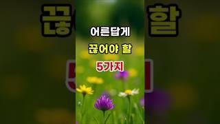 어른답게 끊어야 할 5가지   #명언#조언#좋은말#삶의지혜